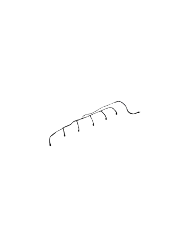 Cano Retorno Pgr 6 Bocas