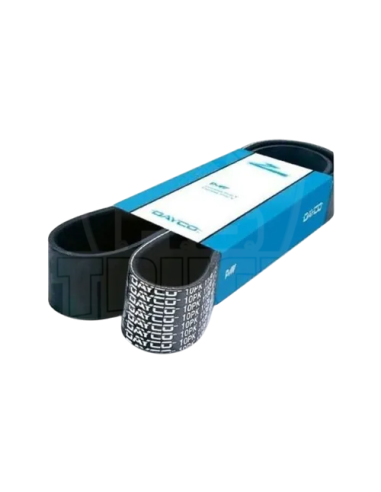 Correas  Poly -v B T S