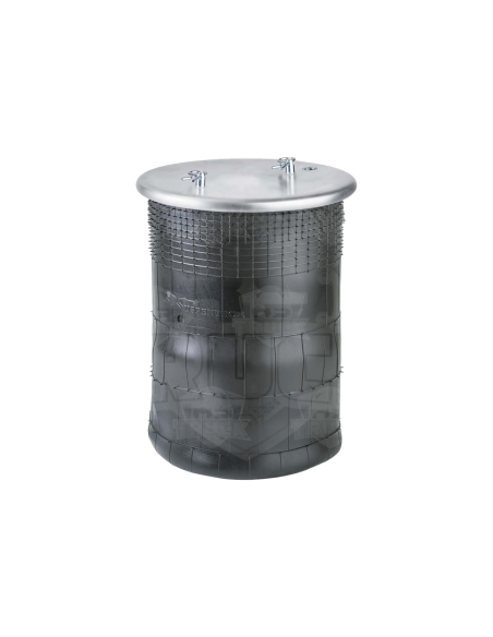 Fuelle Susp Trasero Sl Serie 4 Ref 1510195-1543691