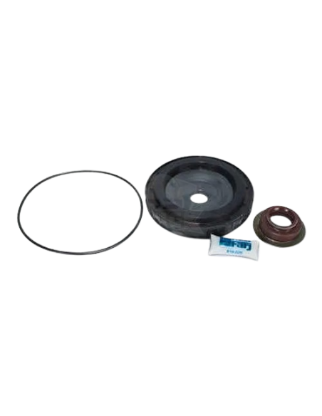 Piston De Cilindro Alta Y Baja Iveco Mb