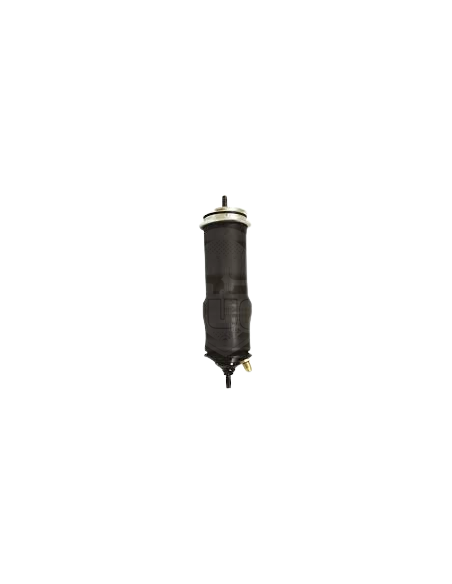 Amortiguador Del-tras Sc Serie 4 Perno 12mm