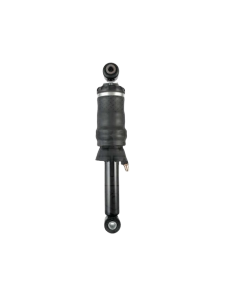 Amortiguador Trasero Cabina Iveco Stralis