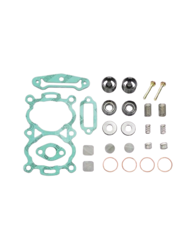 Reparacion Scania Varga