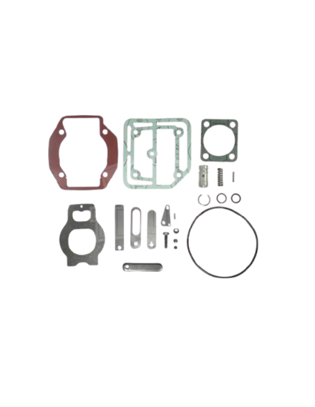 Reparacion Compresor F14000 C-motor Mwm Ii15179